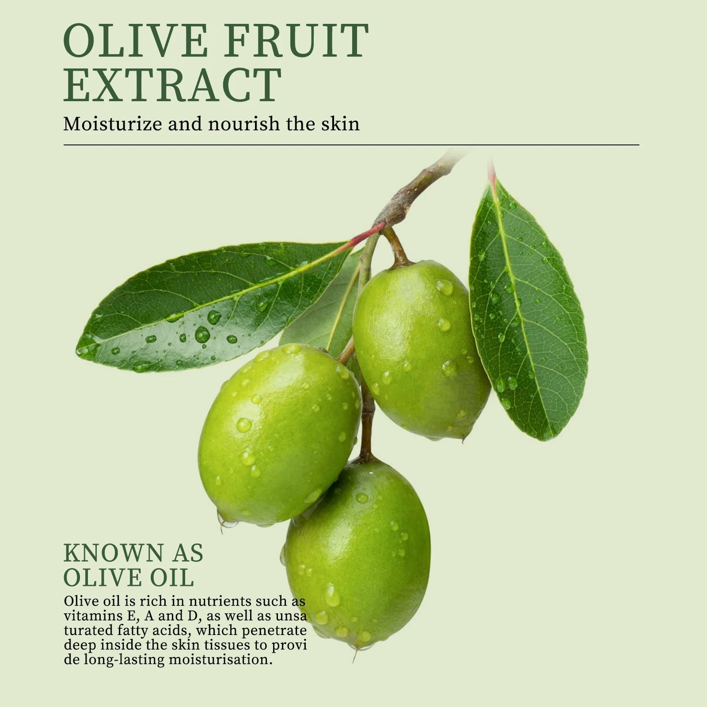 Olive Oil Antioxidant 6-in-1 Skincare Set